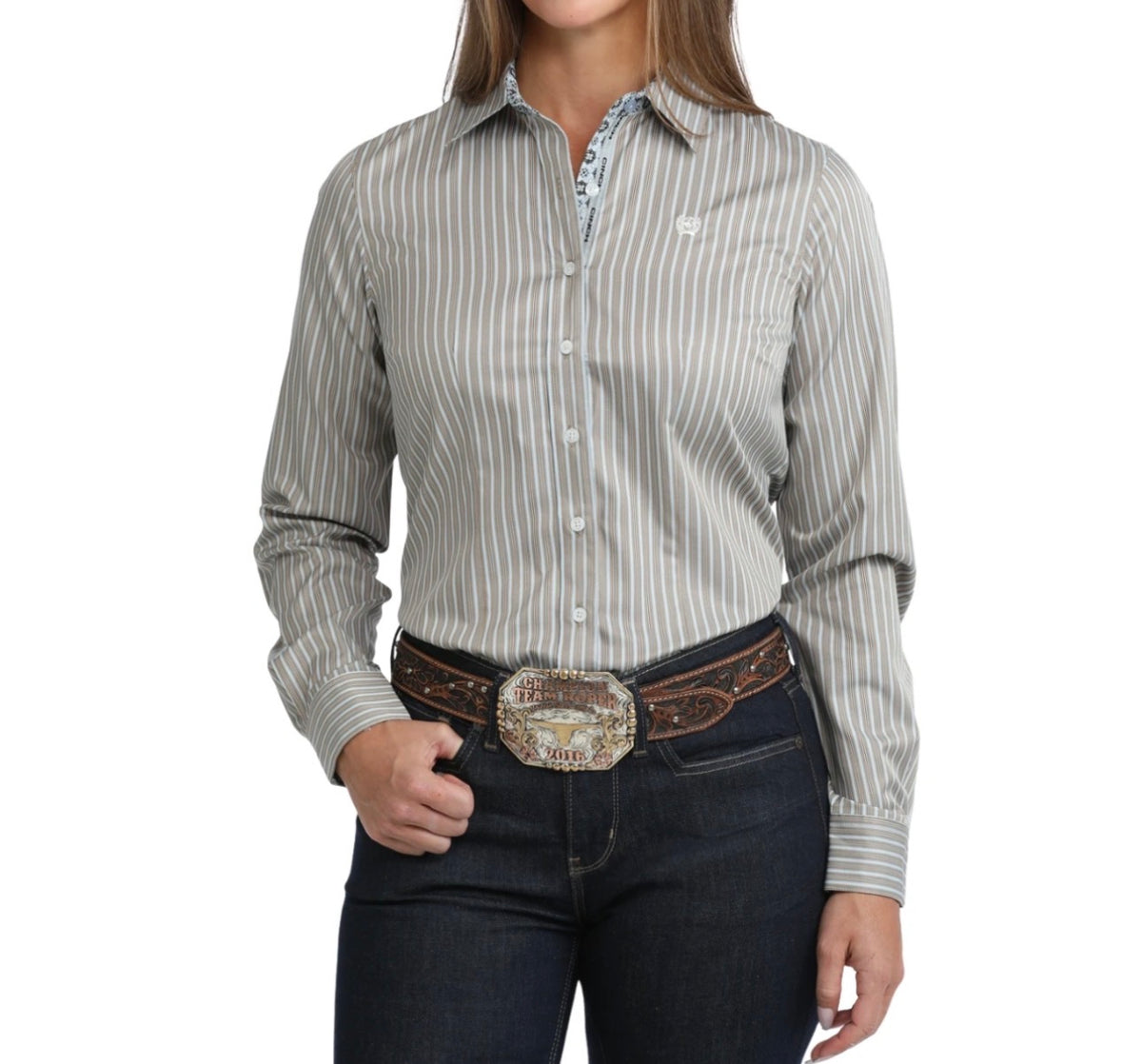 Cinch Tencel Blue/Brown Stripe LS Shirt